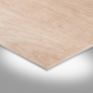 Preview: Aspect Colonial Oak White 0,30 mm